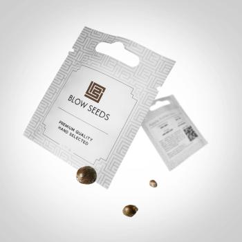 Samen 3x Super Skunk Automatik Blow Seeds